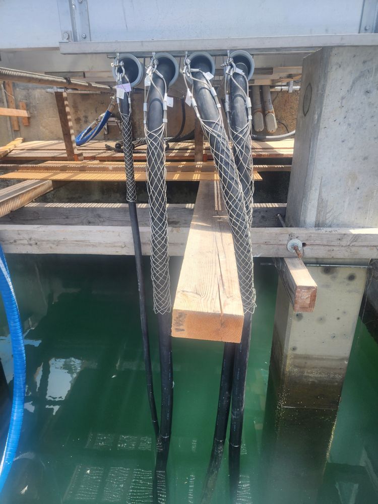 Dockside mooring ropes hanging from a pier over green water
