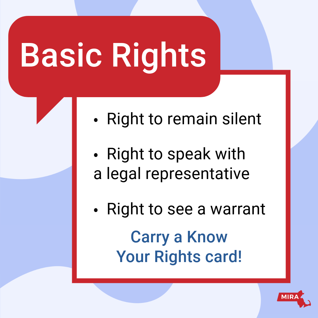 Basic Rights:
1) Right to remain silent
2) Right to speak with a legal representative
3) Right to see a warrant
4) Carry a Know Your Rights card!