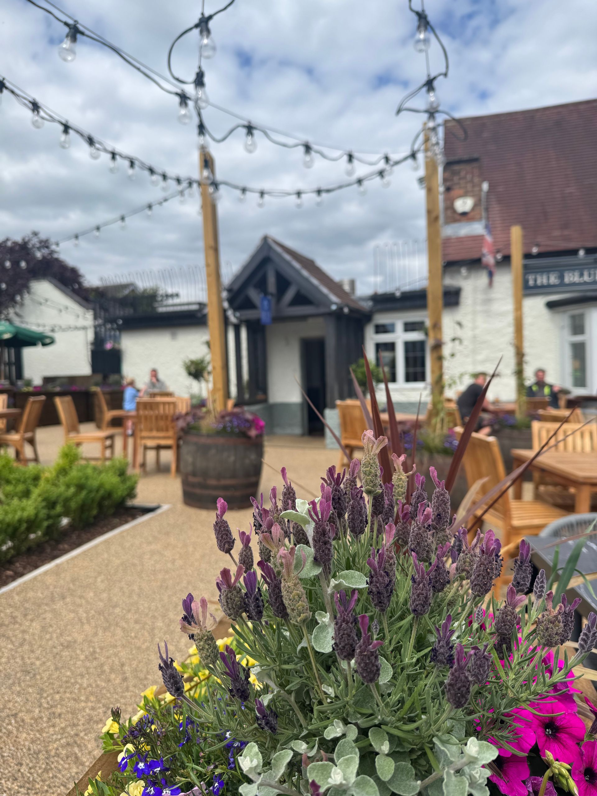 Outdoor patio with string lights, wooden chairs, and purple and pink flowers in planters