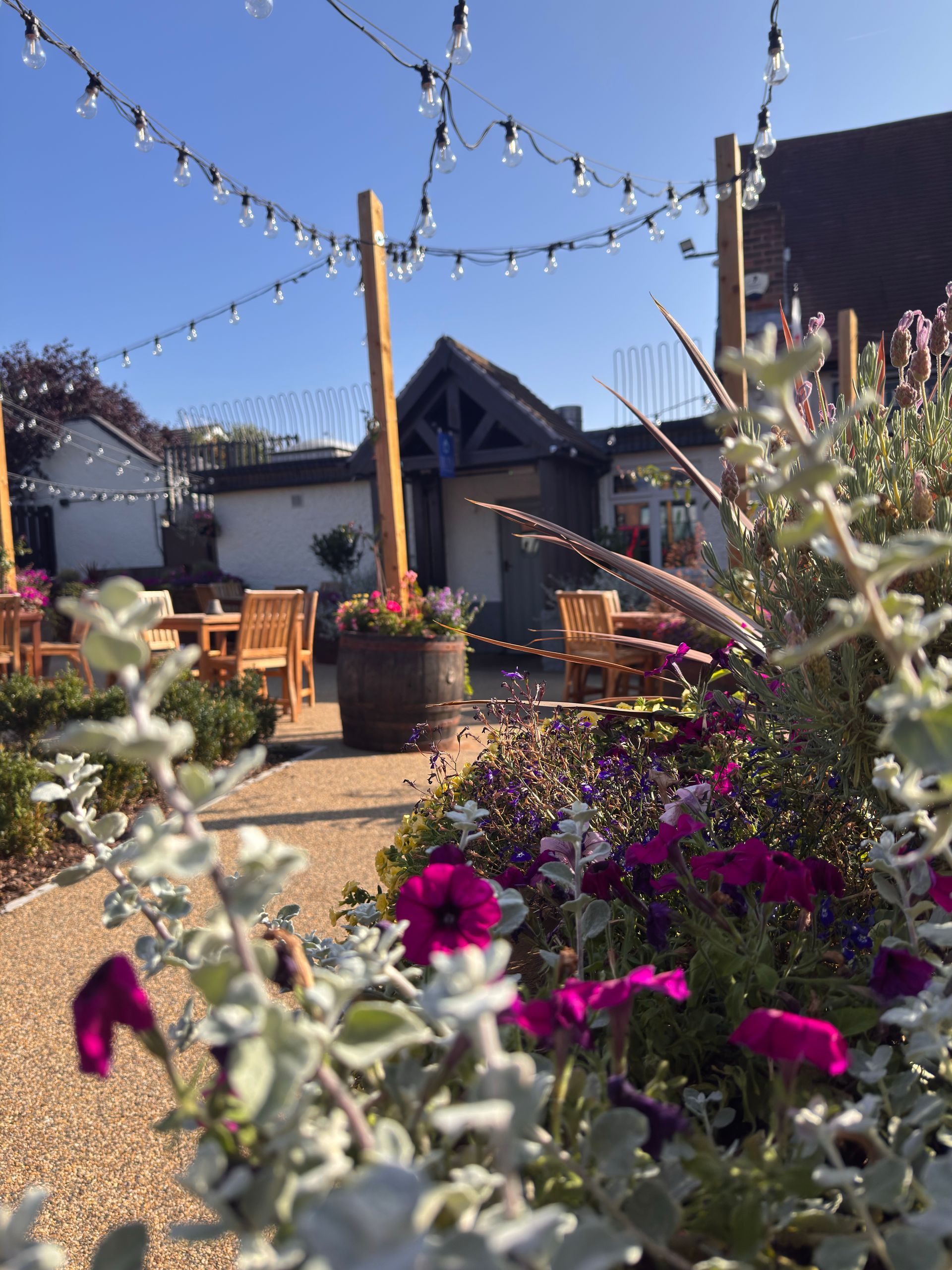 Flower-filled patio with string lights, potted plants, and a house in the background