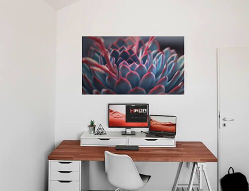 Metal Prints
