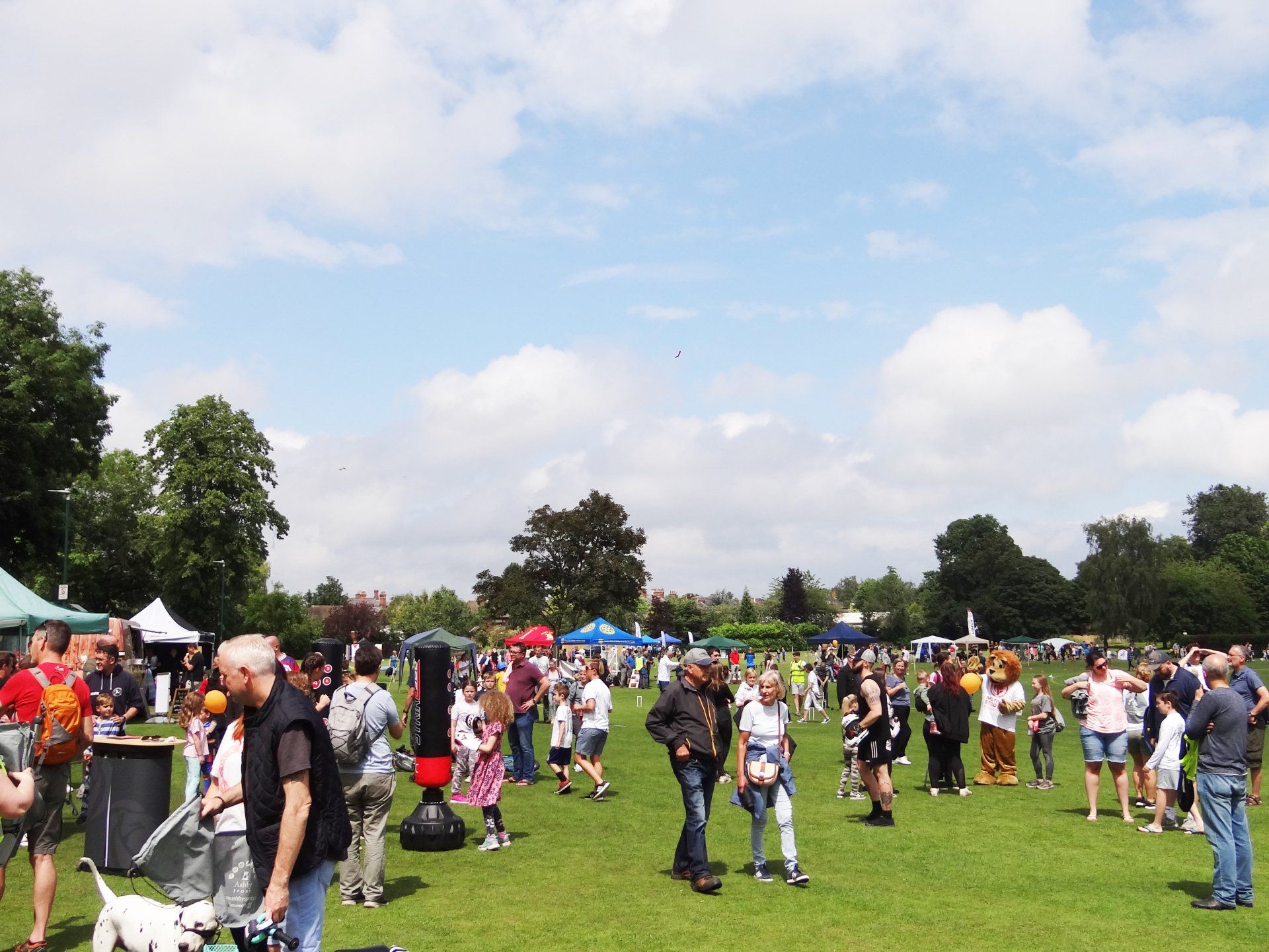 A large group of people are gathered in a grassy field