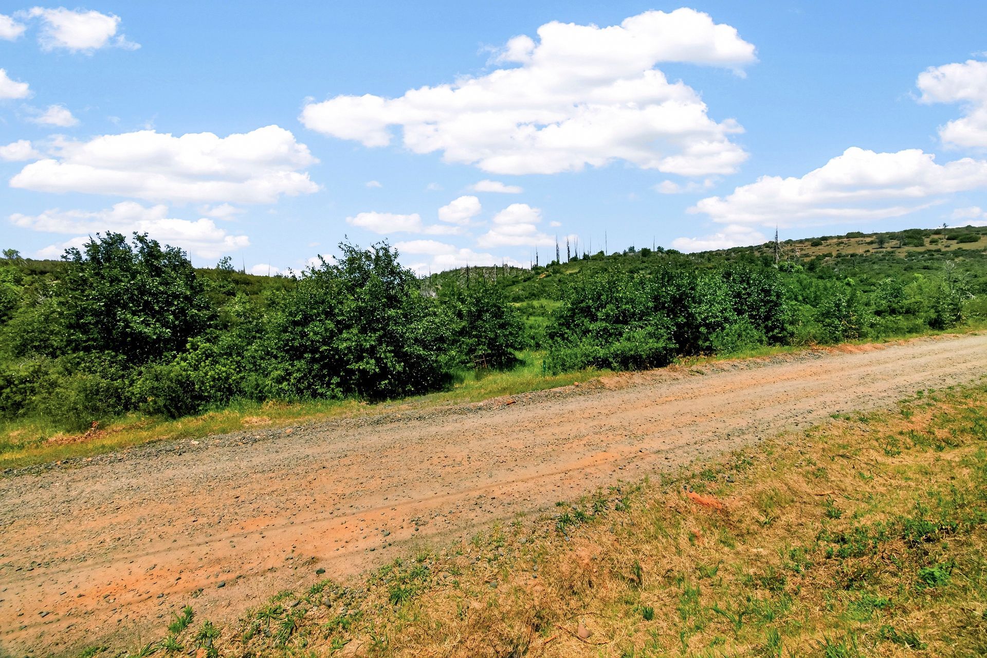 0 Bardees Bar Rd, Oroville, CA — land for sale, photo 2