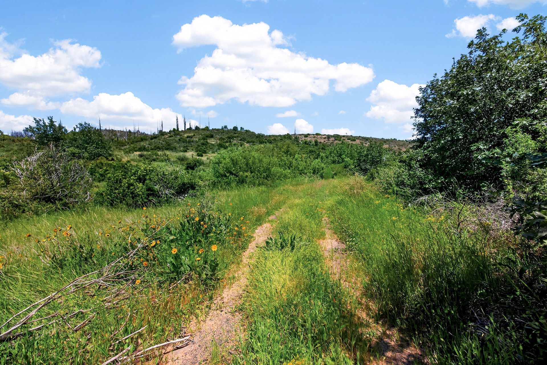 0 Bardees Bar Rd, Oroville, CA — land for sale, photo 3