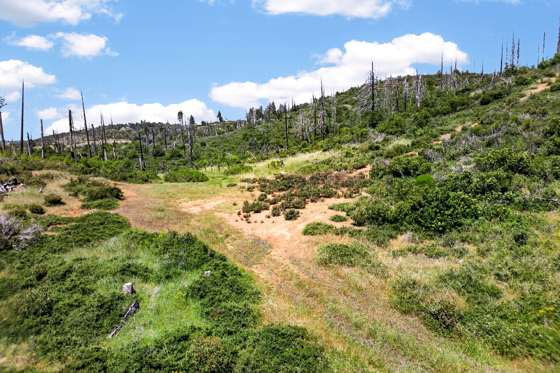 0 Bardees Bar Rd, Oroville, CA — land for sale, photo 4