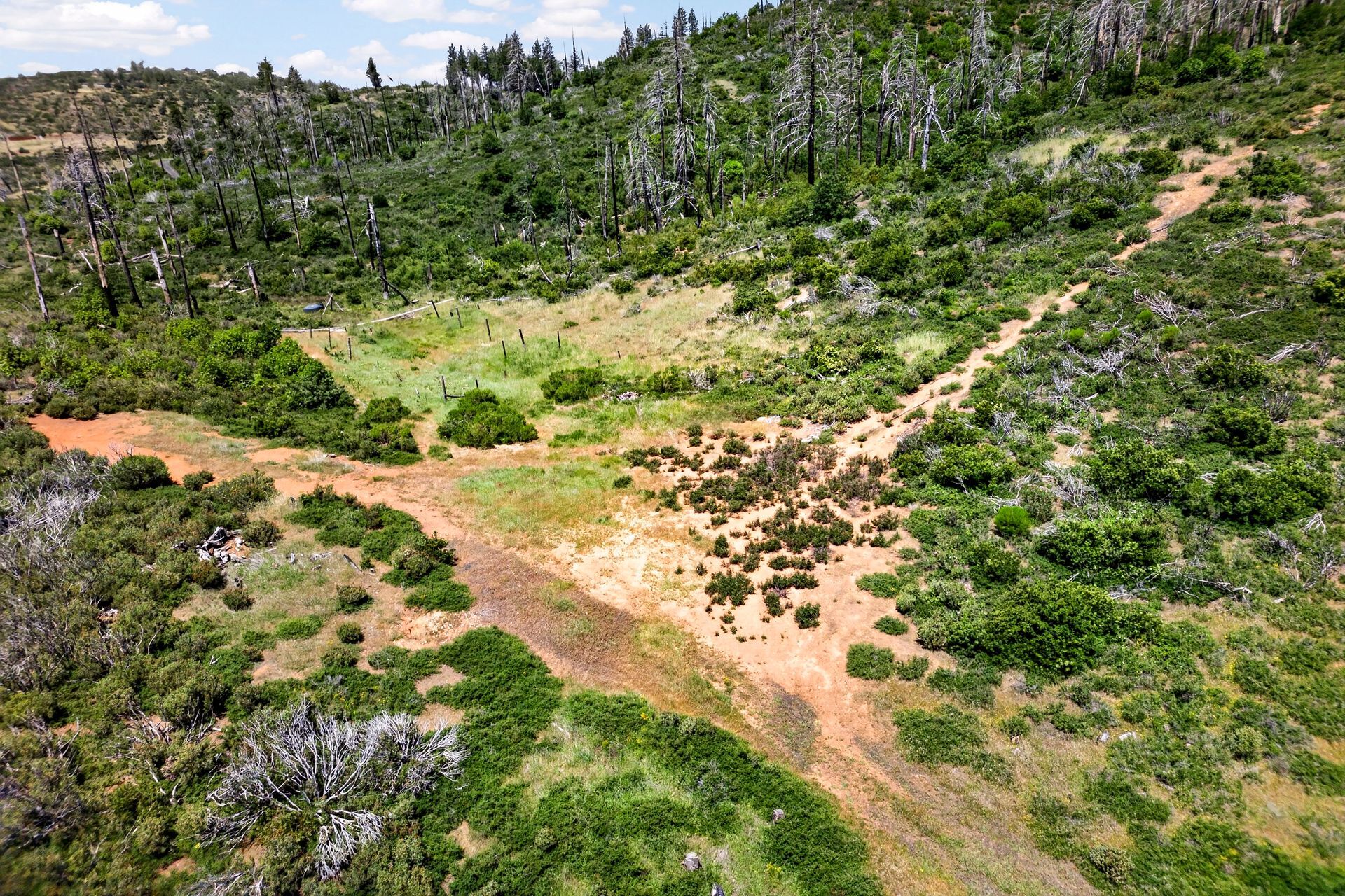 0 Bardees Bar Rd, Oroville, CA — land for sale, photo 6