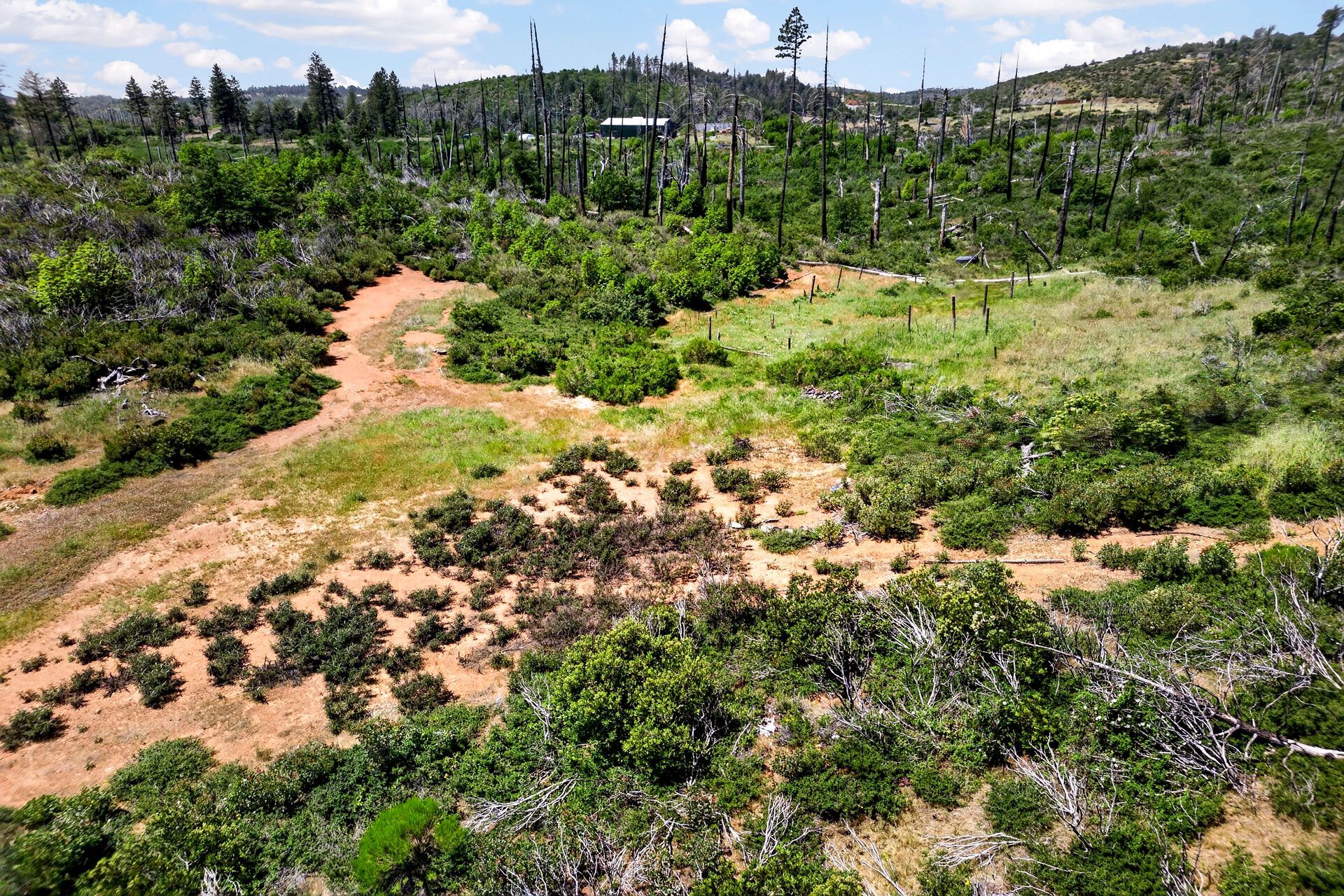 0 Bardees Bar Rd, Oroville, CA — land for sale, photo 7
