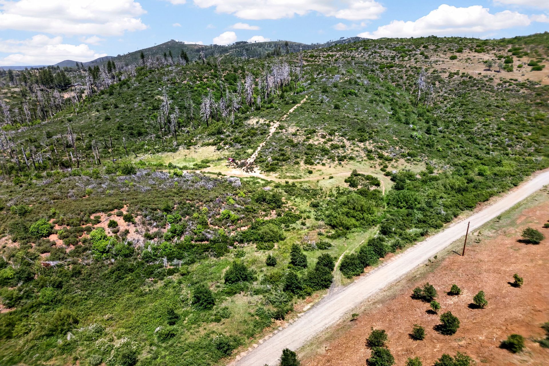 0 Bardees Bar Rd, Oroville, CA — land for sale, photo 8