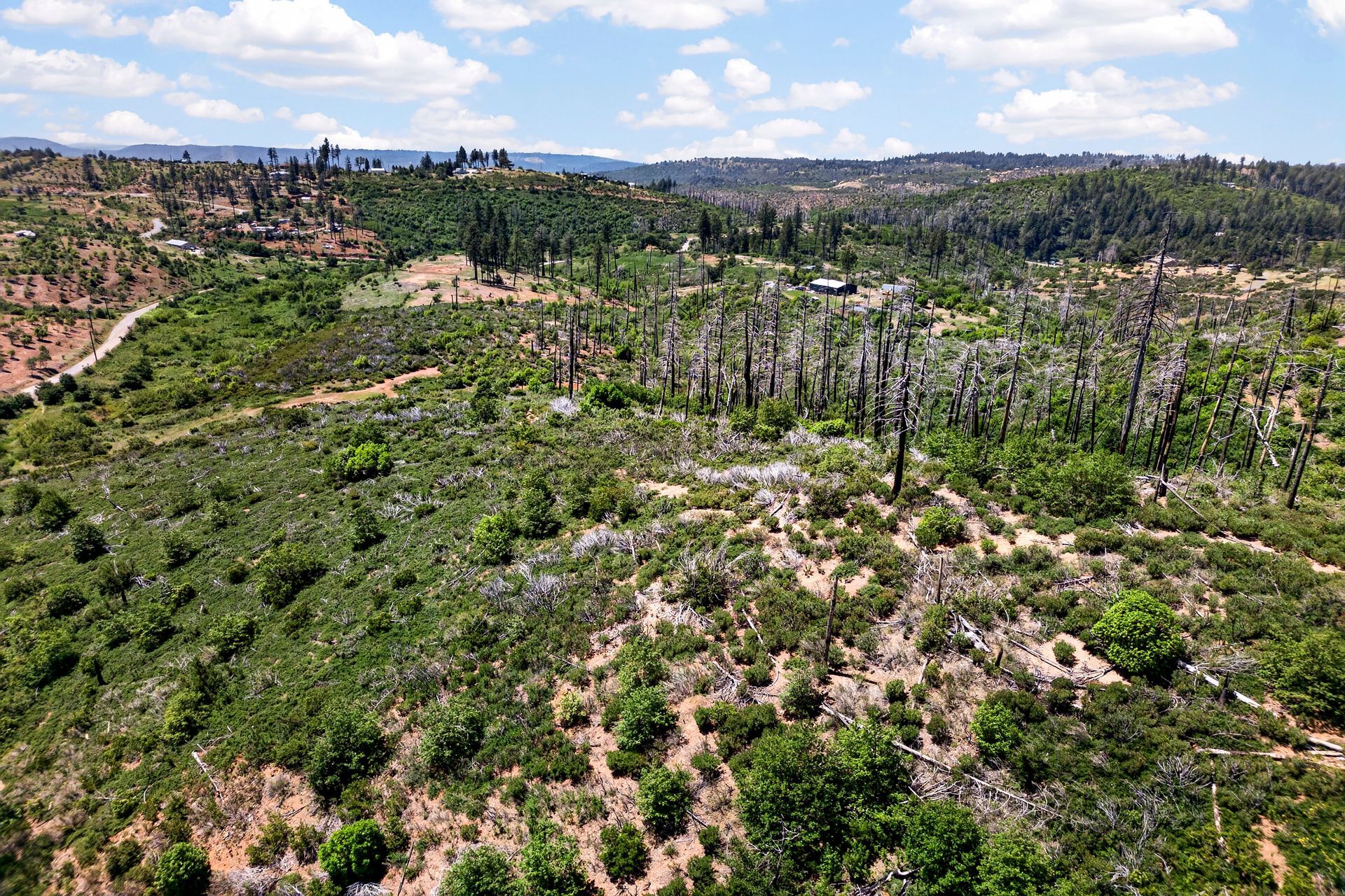 0 Bardees Bar Rd, Oroville, CA — land for sale, photo 9