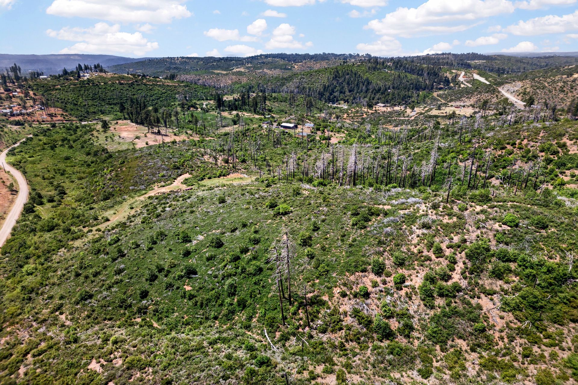 0 Bardees Bar Rd, Oroville, CA — land for sale, photo 11