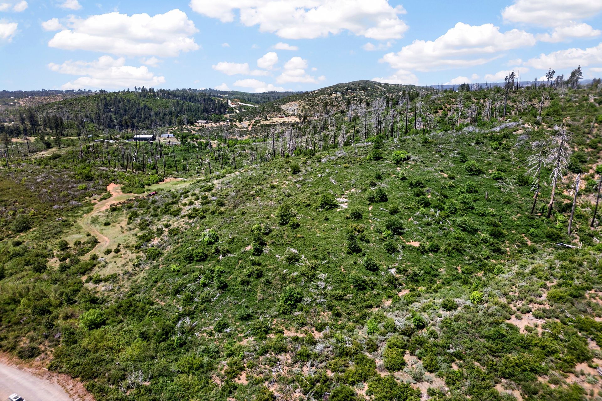 0 Bardees Bar Rd, Oroville, CA — land for sale, photo 12