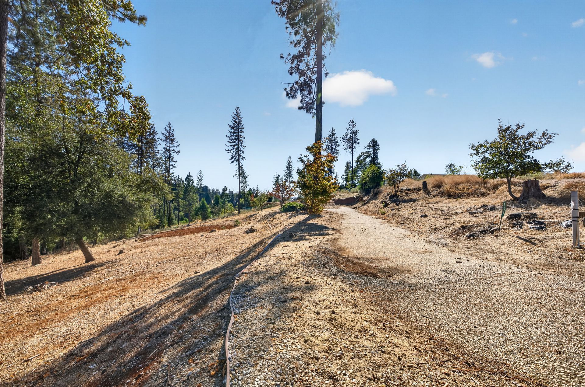 1712 Connell Ln, Paradise, CA — land for sale with mountain, neighborhood, and tree views