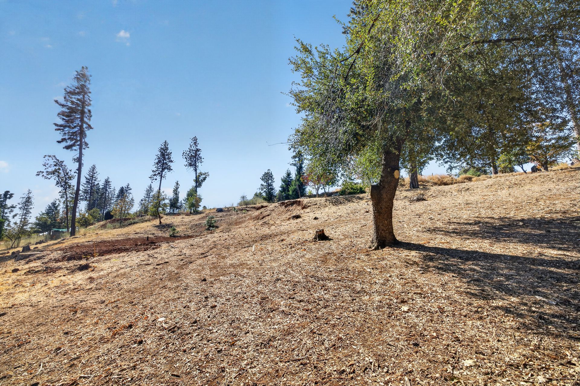 1712 Connell Ln, Paradise, CA — land for sale with driveway in place