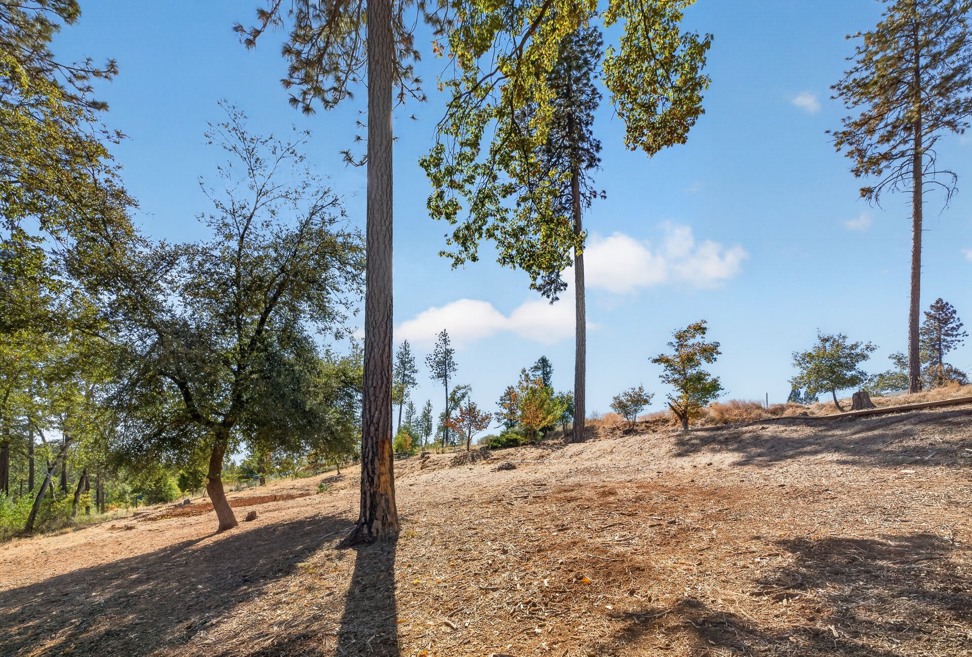 1712 Connell Ln, Paradise, CA — 0.75-acre lot for sale with utilities in place