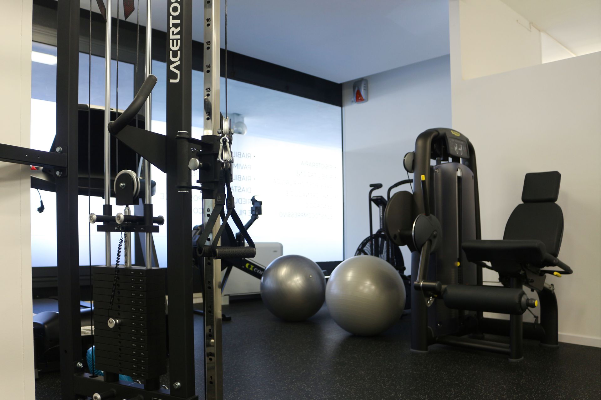 palestra fisioterapia