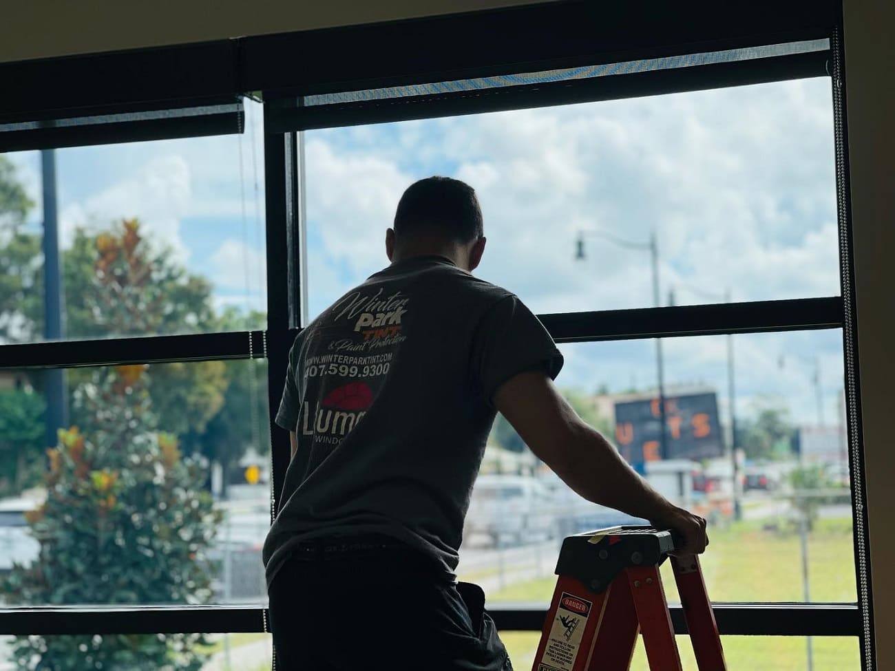window tint