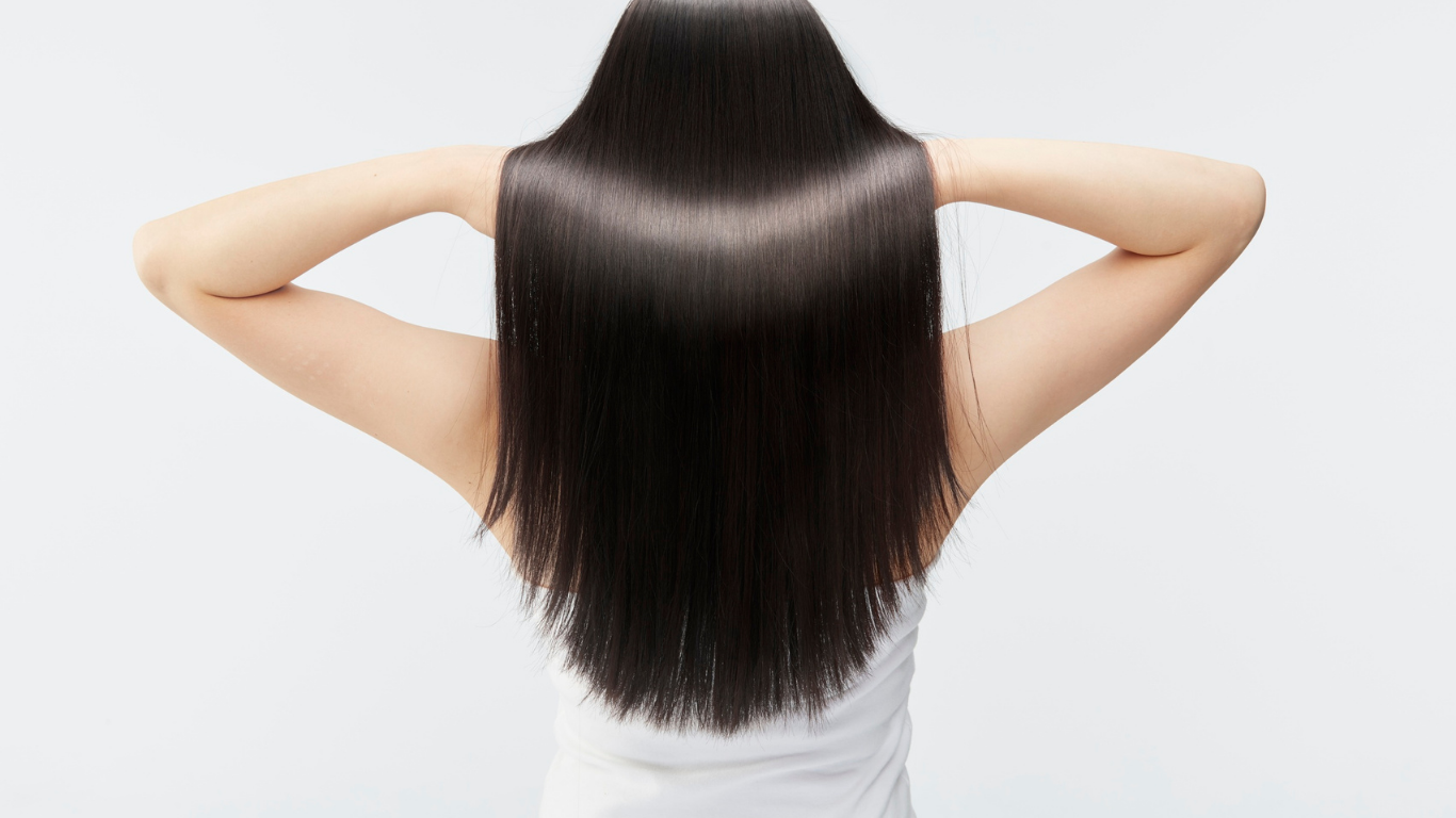 Person with long, straight dark hair, seen from behind, holding their hair out against a white background