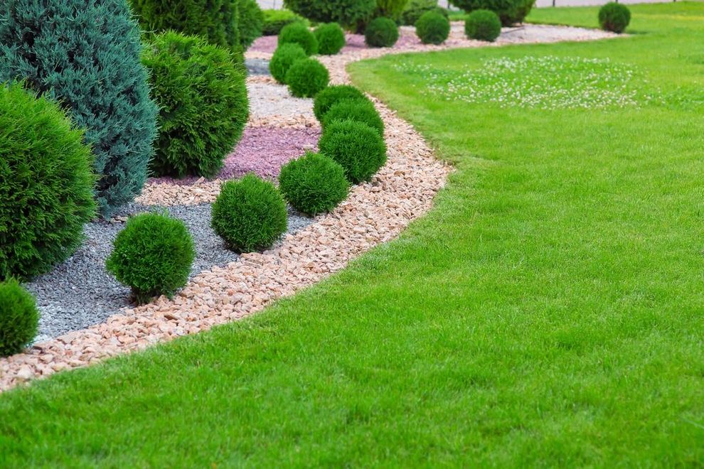 Curved garden border with round shrubs, pink gravel path, and bright green lawn