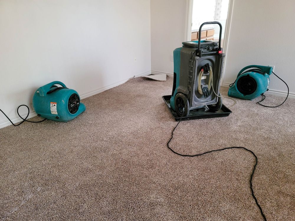 Water Restoration — Townsville, QLD — Bethel Carpet Cleaning
