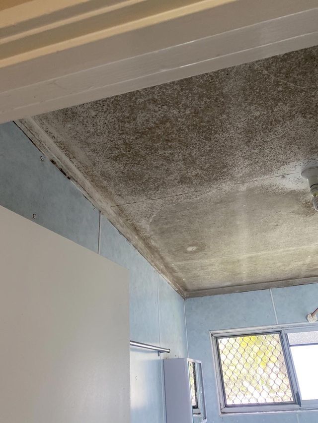 Before Mould Removing — Townsville, QLD — Bethel Carpet Cleaning