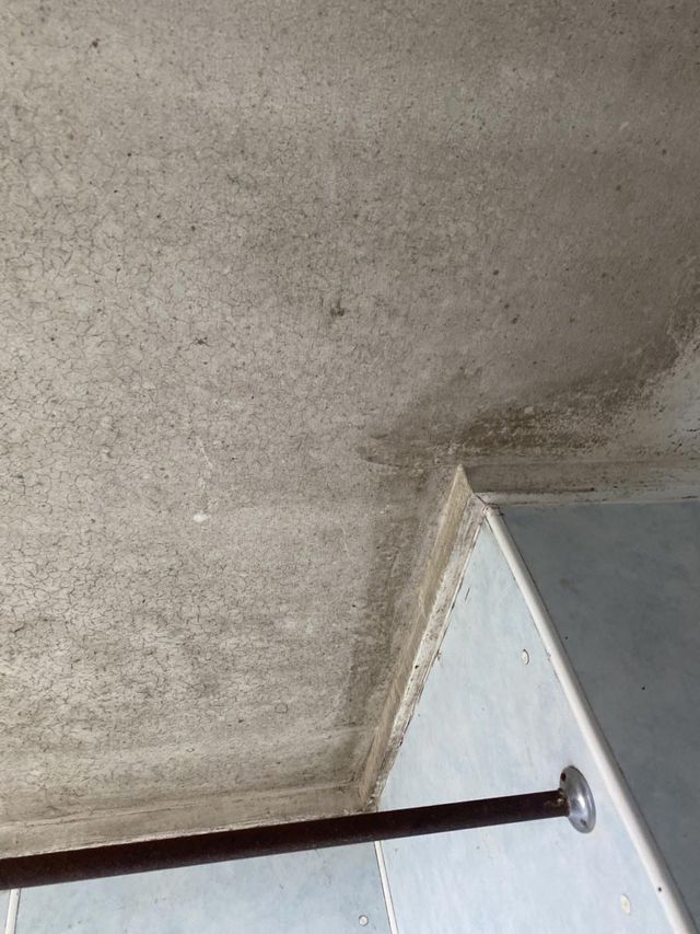 Before Removing Mould in Ceiling — Townsville, QLD — Bethel Carpet Cleaning