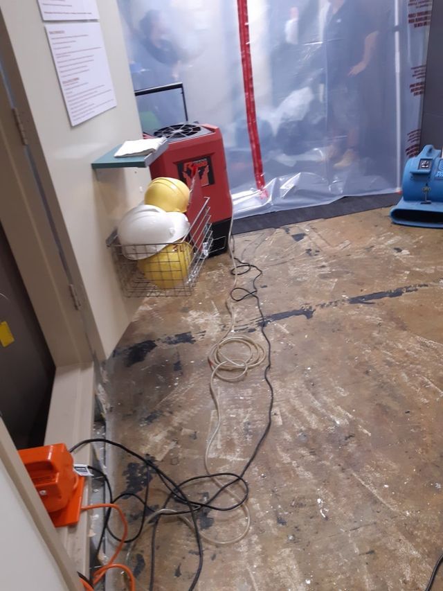 Room Water Cleaning — Townsville, QLD — Bethel Carpet Cleaning
