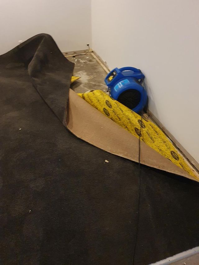 Carpet Drying — Townsville, QLD — Bethel Carpet Cleaning