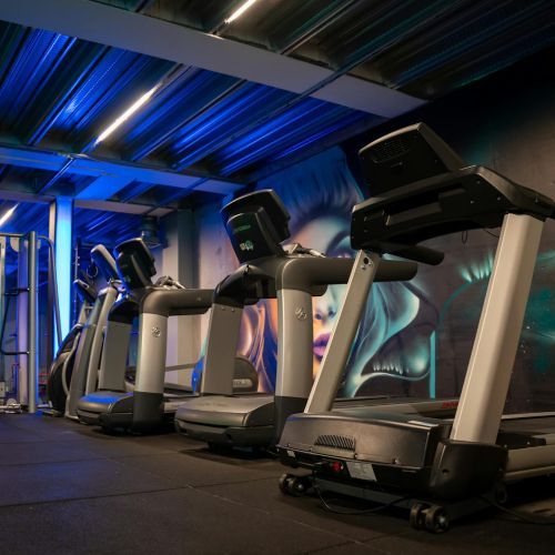 Row of treadmills in a modern gym with blue accent lighting