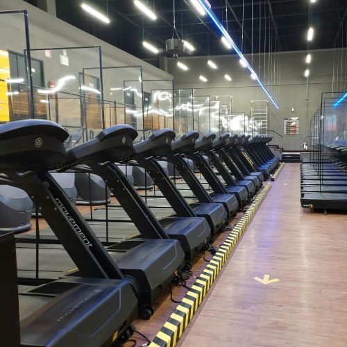 Row of treadmills in a brightly lit gym, separated by glass partitions and yellow-black safety tape.