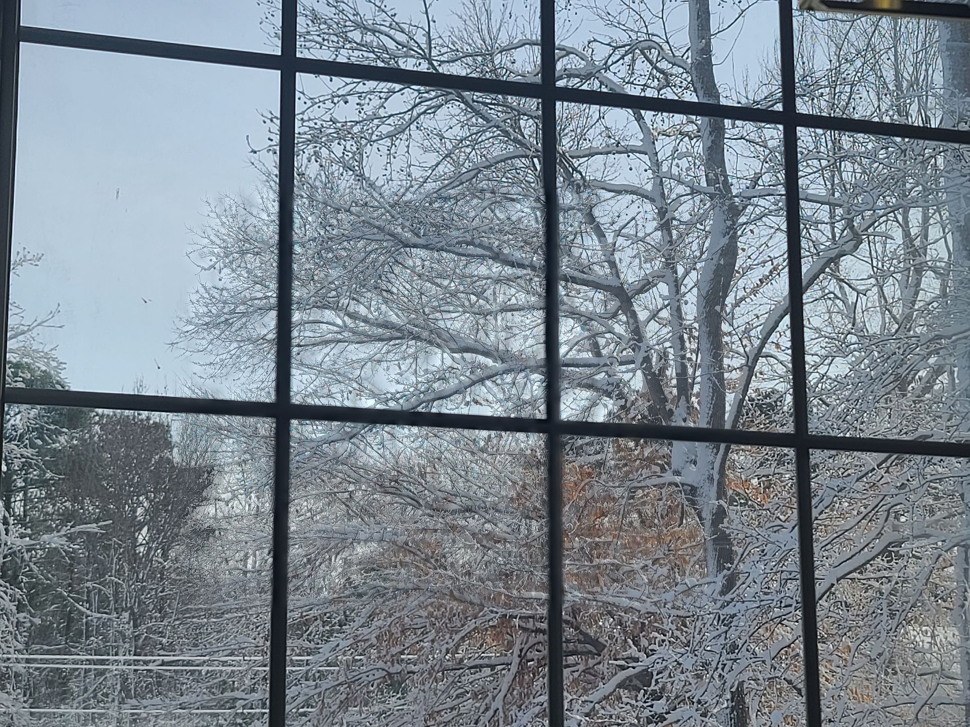 southern md winter