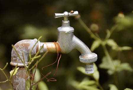 A close up of a rusty water faucet in a garden.