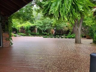 Tree-lined brick courtyard with a covered walkway and fallen leaves on the ground