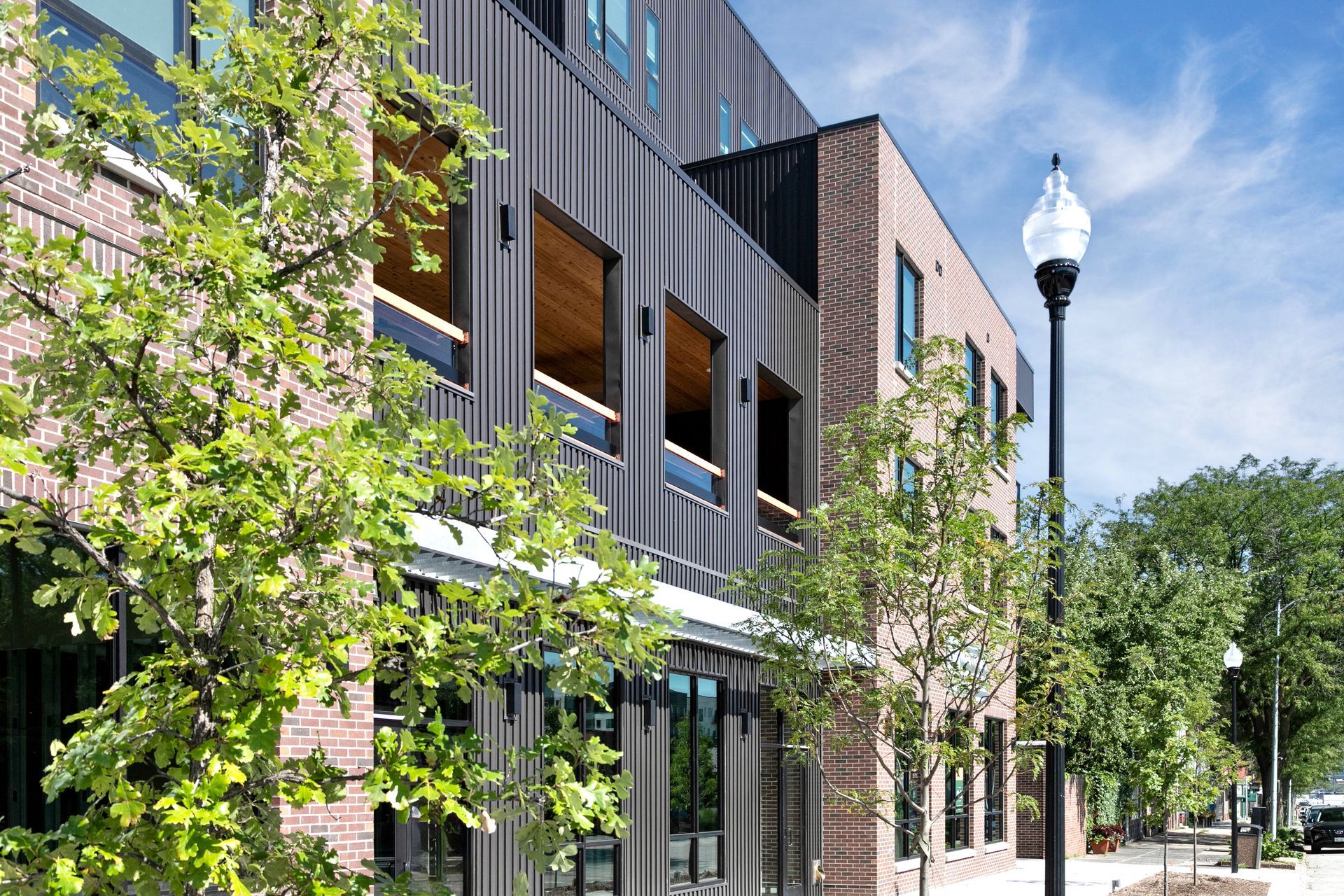Modern brick-and-glass apartment buildings along a tree-lined city street under a blue sky