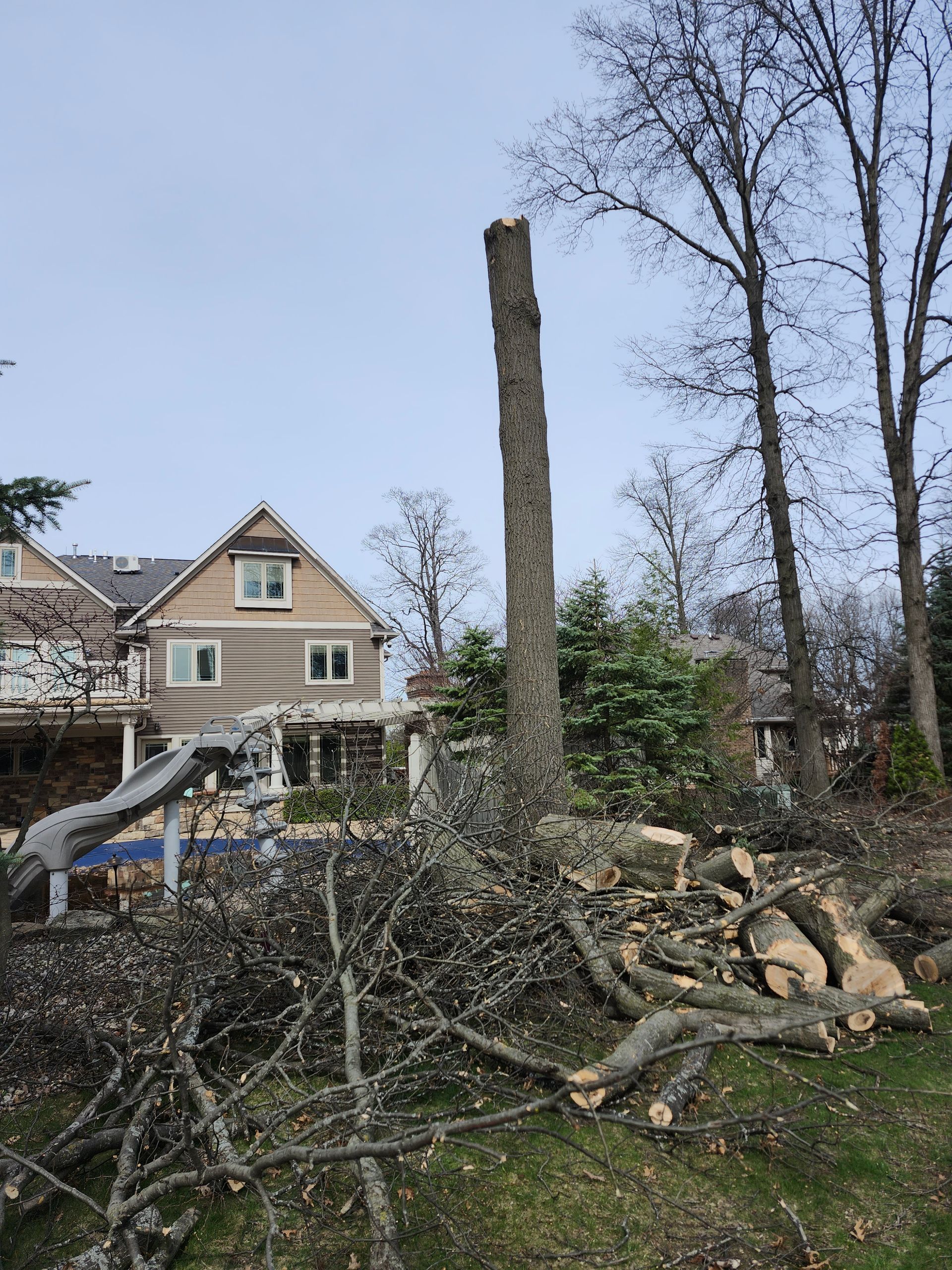 Professional tree removal services in Fort Wayne, IN by M&L Gutters