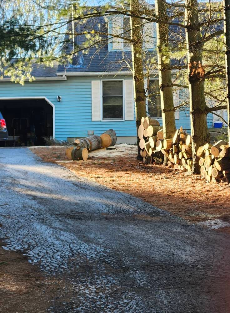 Tree services in Fort Wayne, IN by M&L Gutters