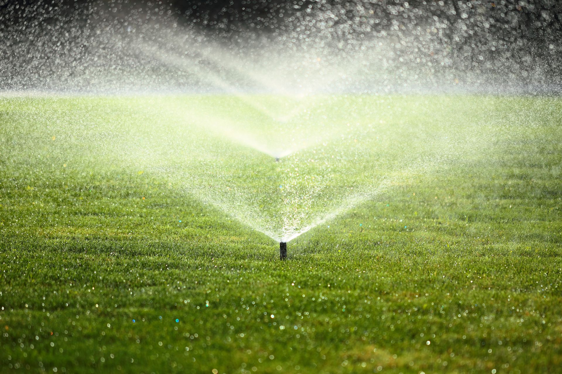 Sprinkler watering green grass lawn, water droplets in the air.