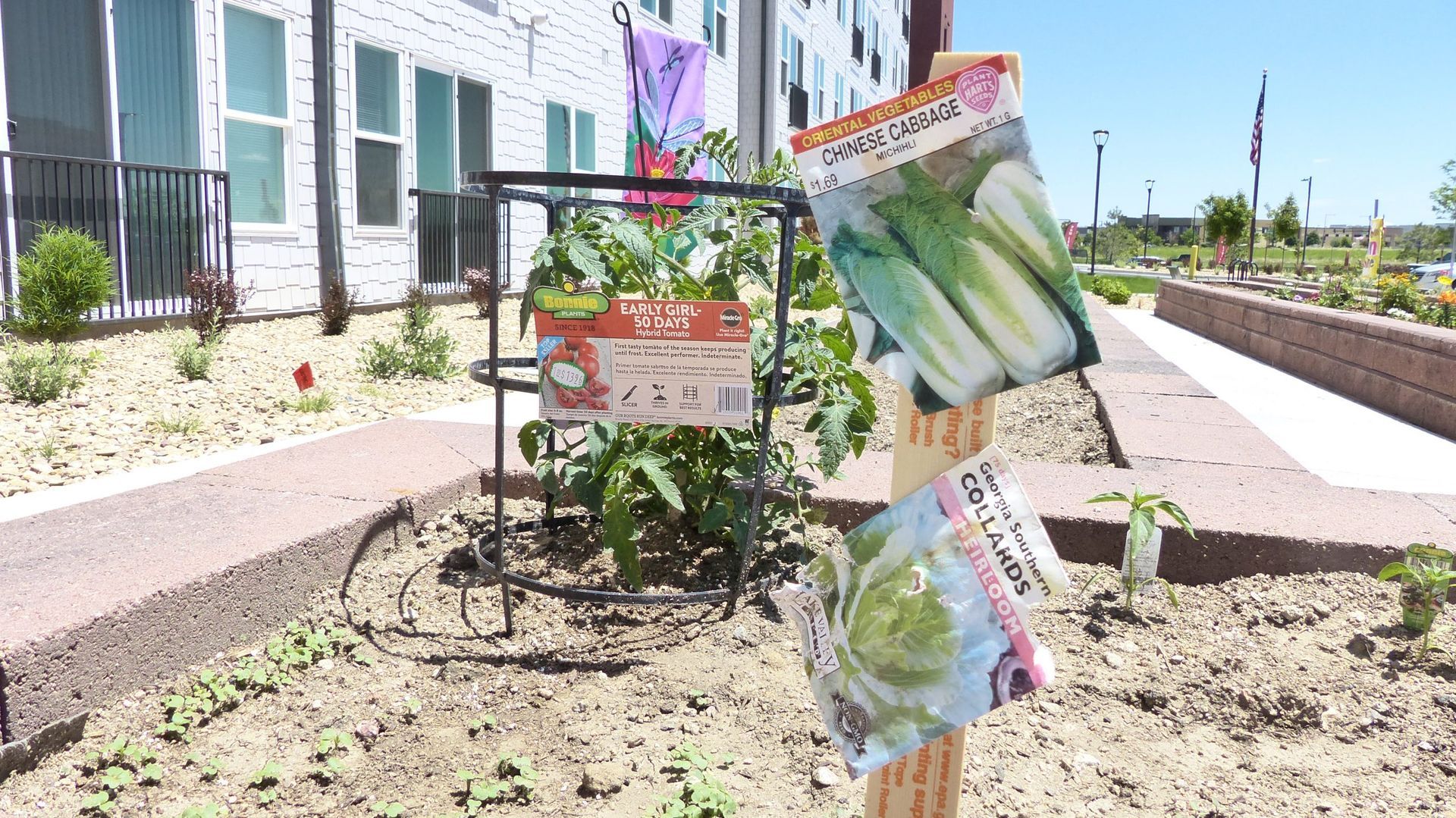 Small garden bed beside a building, with a sign and seed packets hanging on a post in bright sunlight