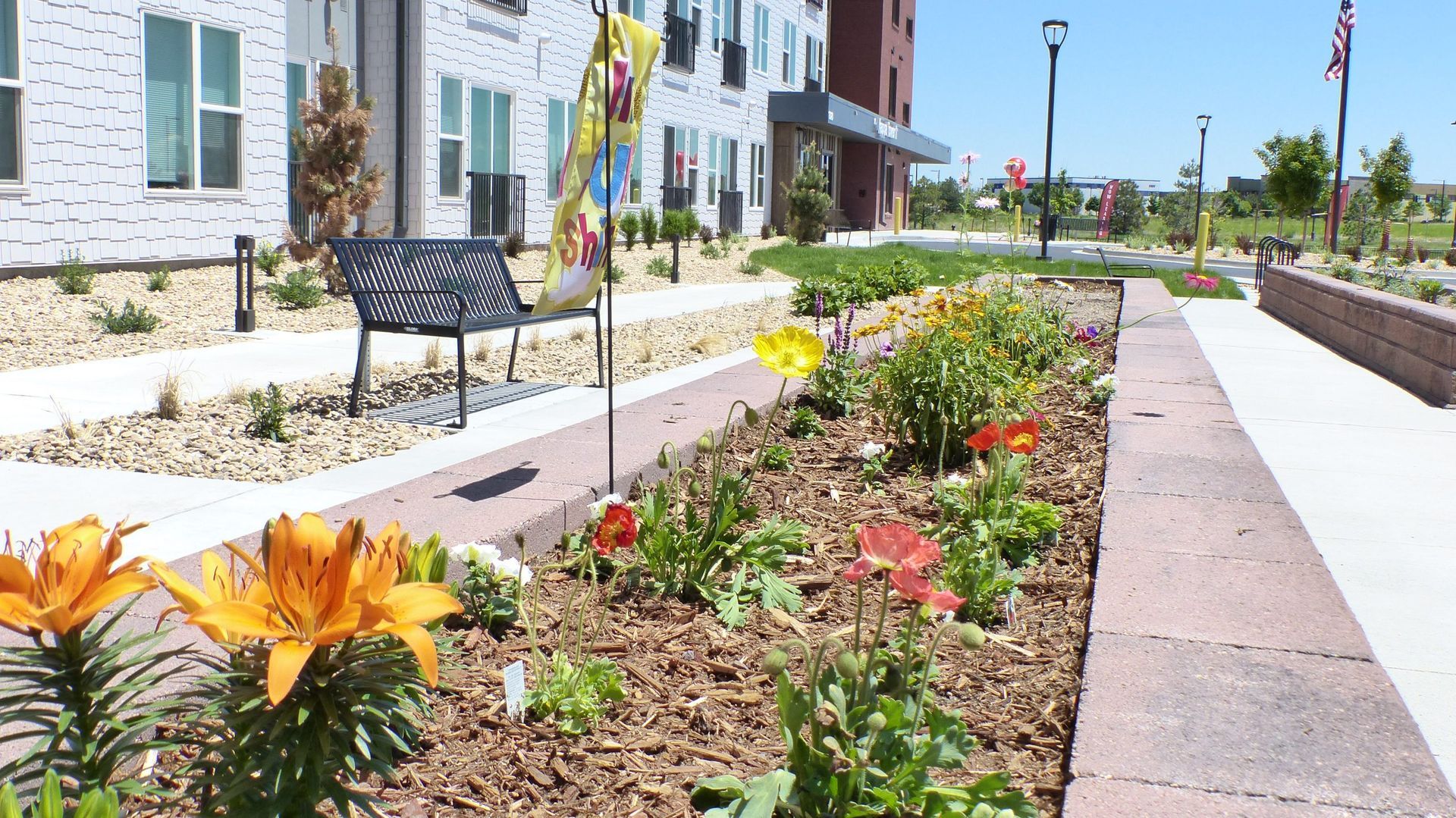 Flower bed along a sidewalk beside a building on a sunny day
