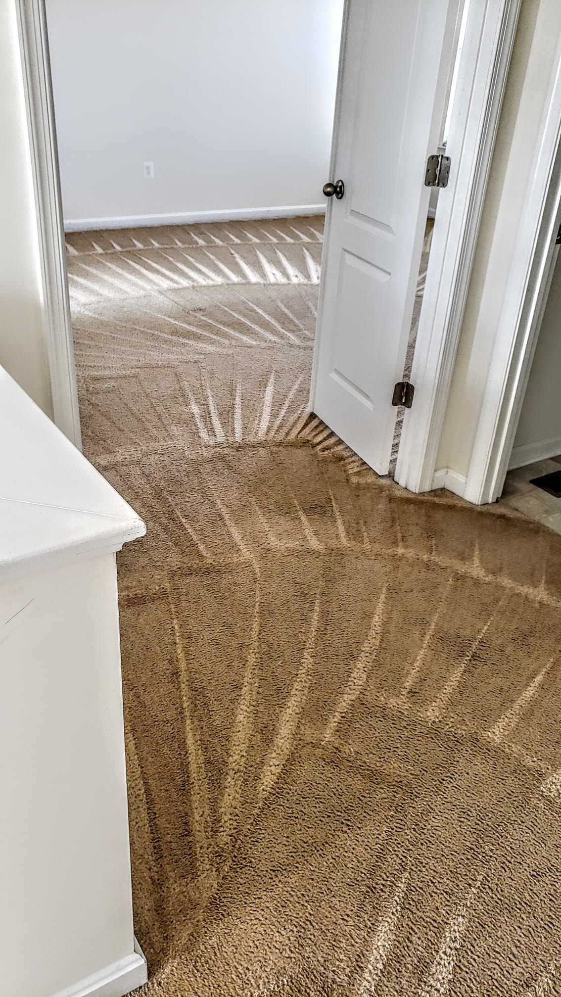 a clean carpet
