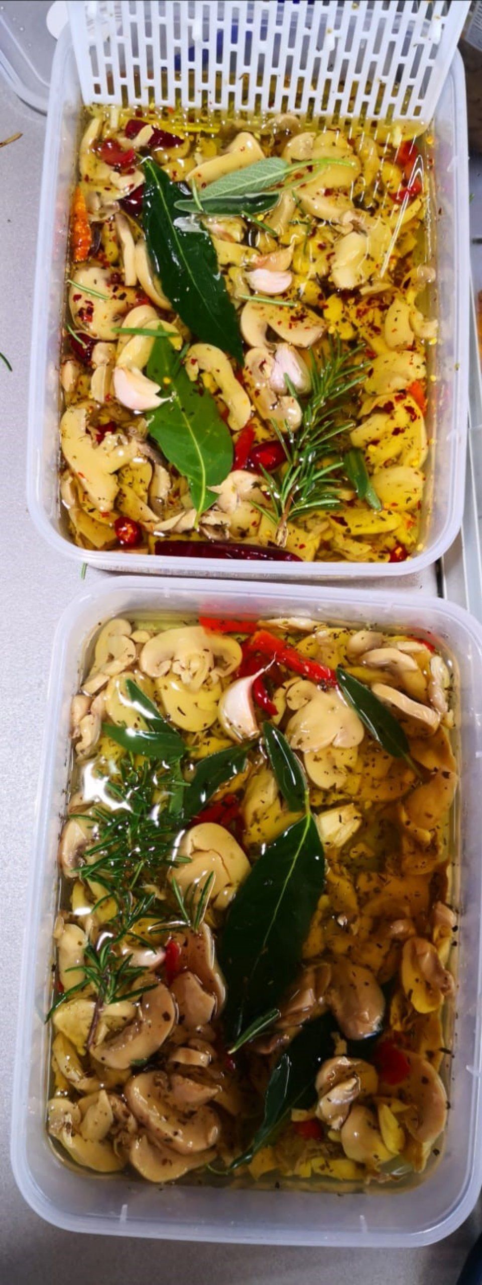 funghi sottolio
