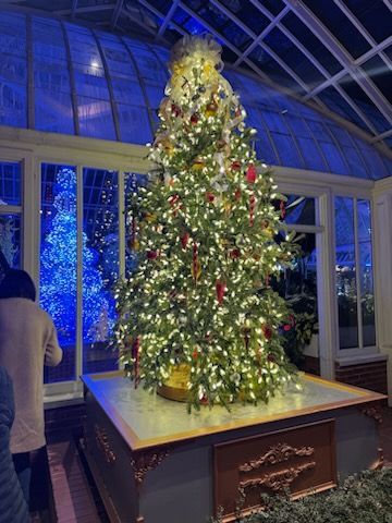 Christmas Photos