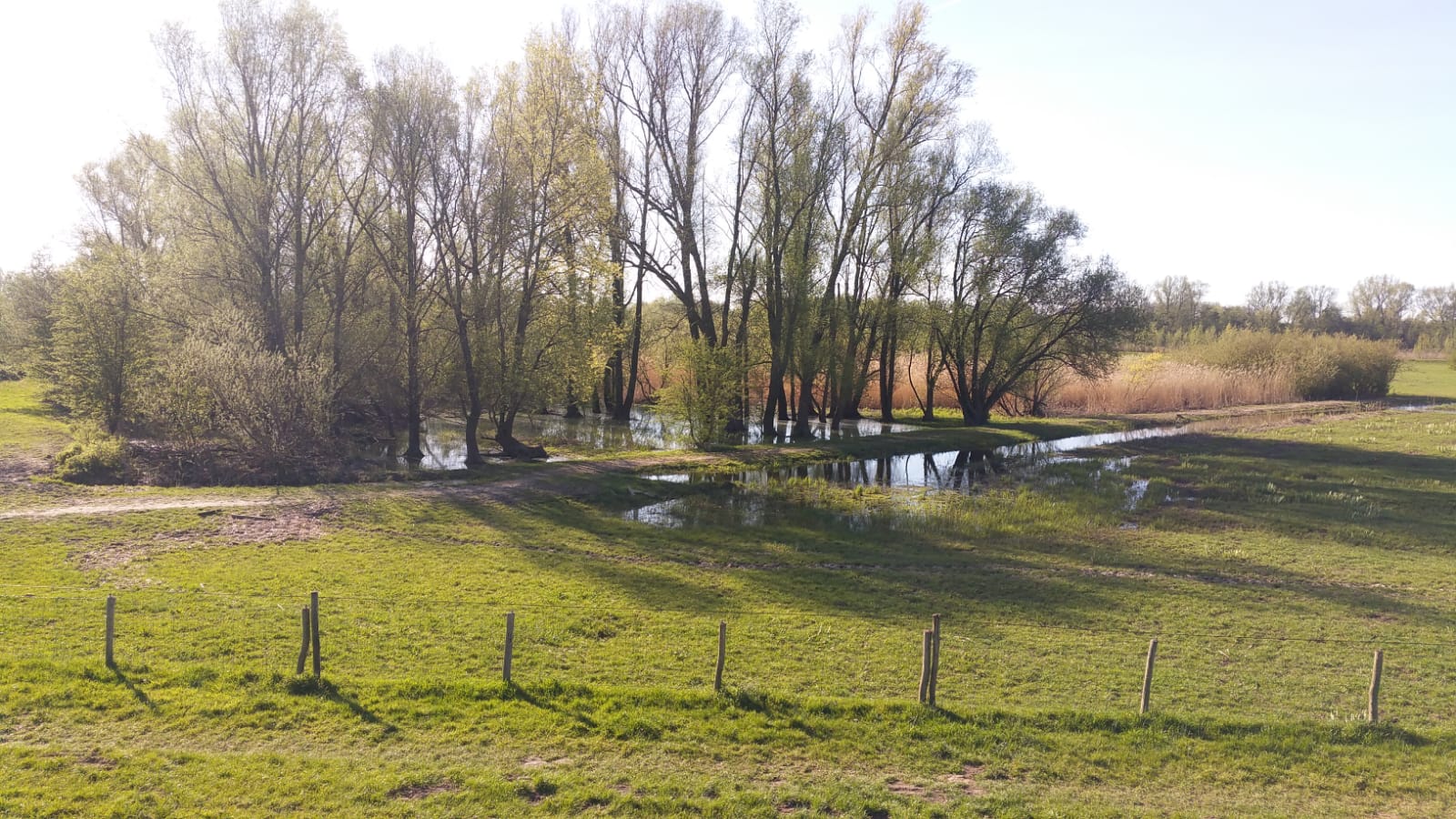 Uiterwaarden Wageningen