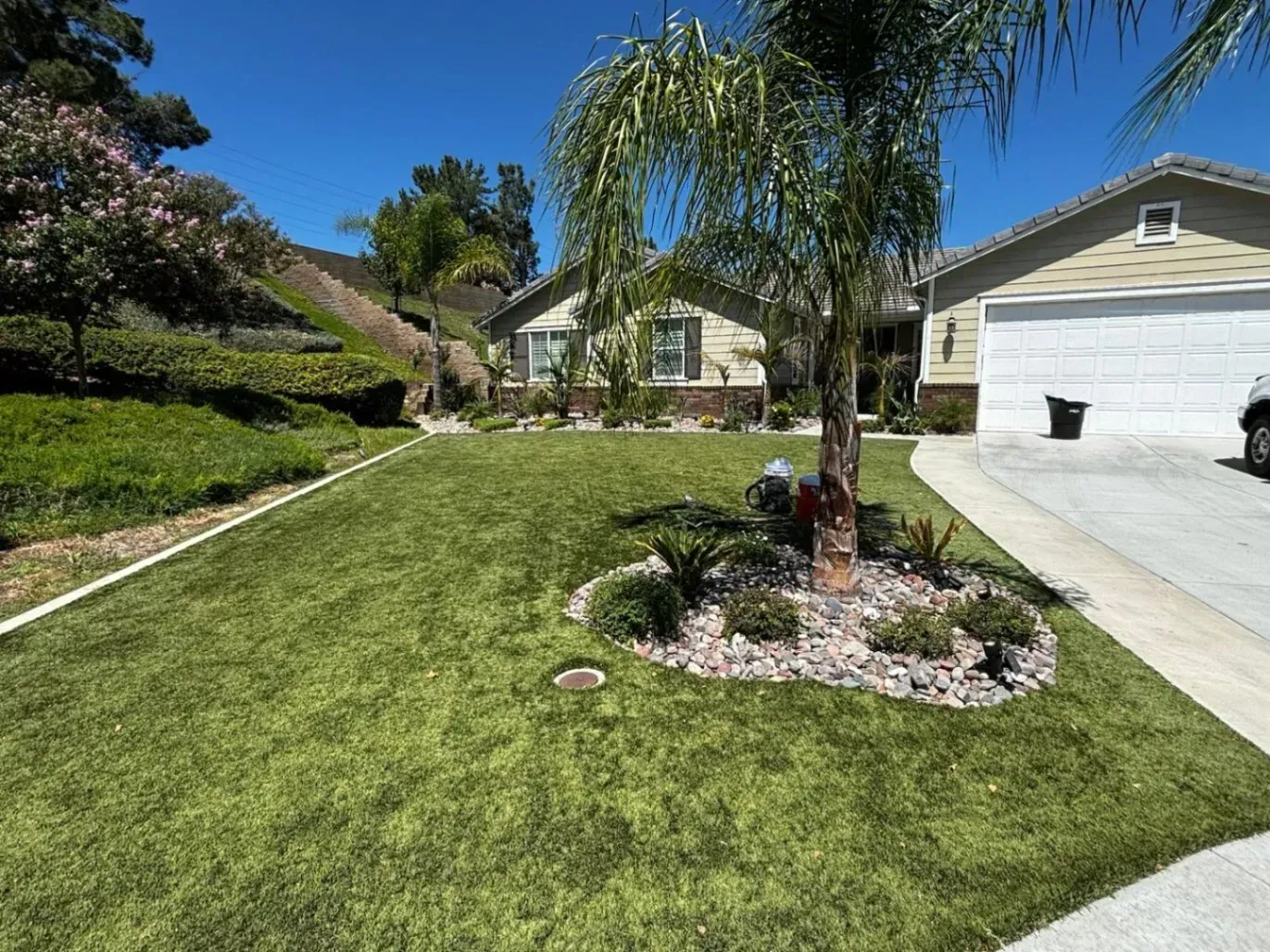 Well-kept lawn with a house, palm tree, and gravel landscaping under a bright blue sky.