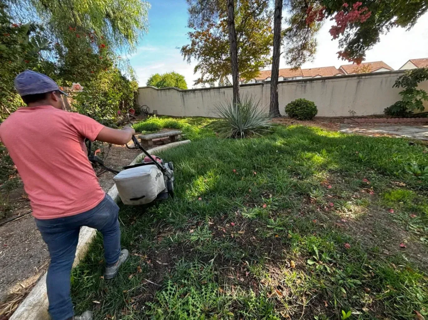 A person mows a lawn with a push mower in a yard with a concrete border, trees, and a wall.