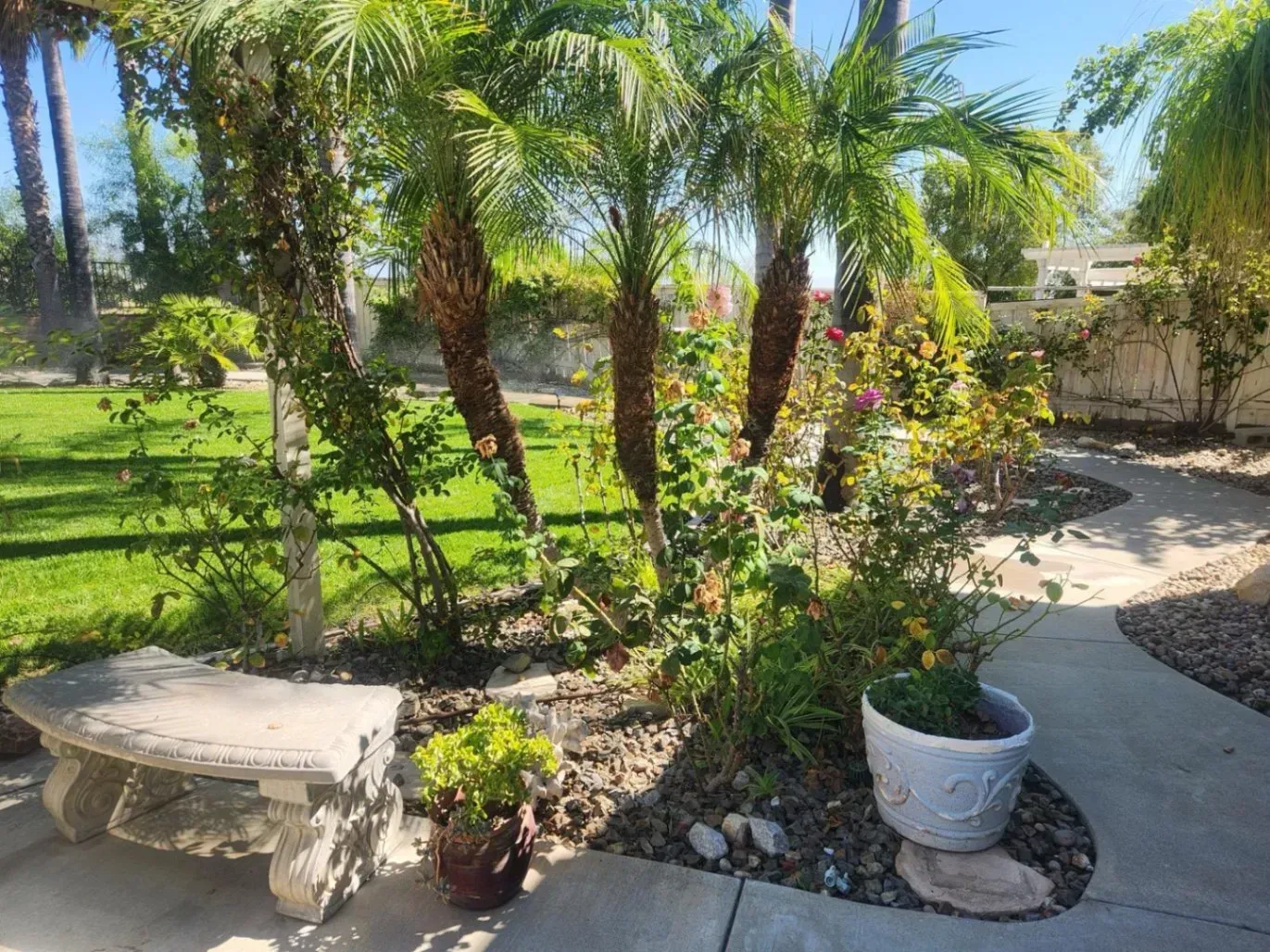 Garden with palm trees, stone bench, and winding walkway. Sunny day, green lawn, white fence.