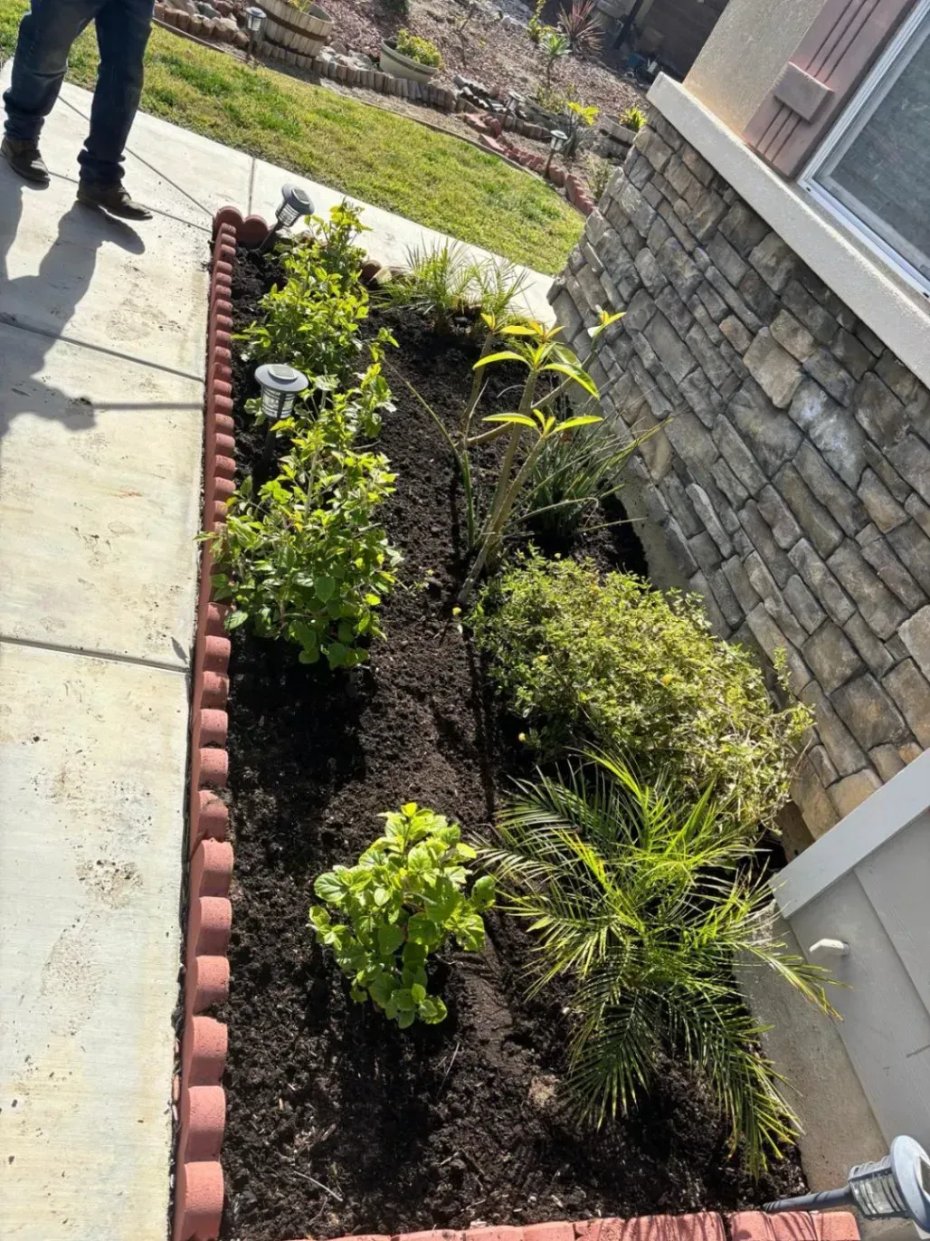 A rectangular flower bed with various green plants and dark soil, next to a stone-covered house wall.