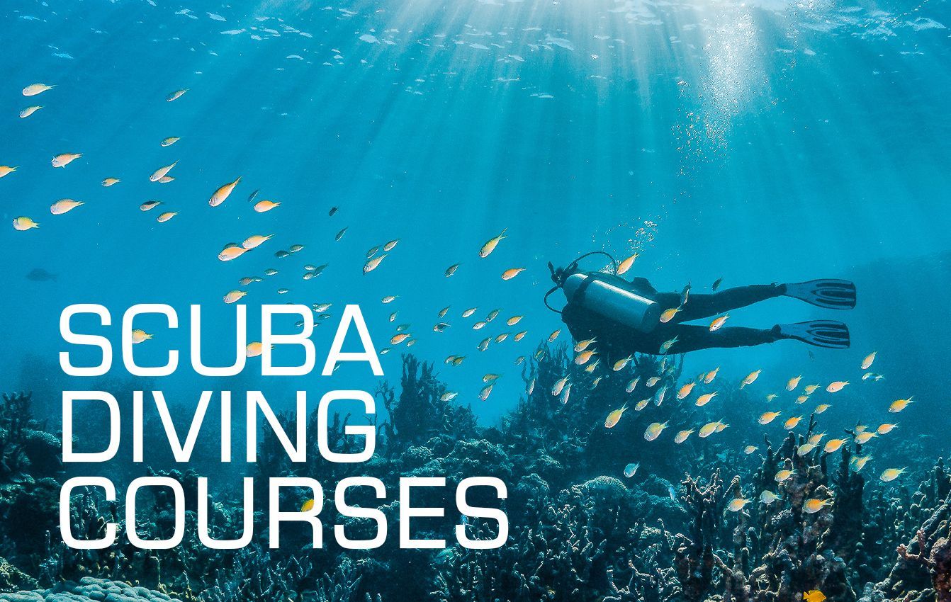 Scuba Diving Courses