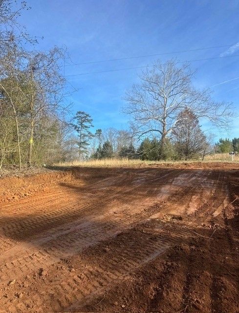 Rutted dirt road beside leafless trees under a clear blue sky
