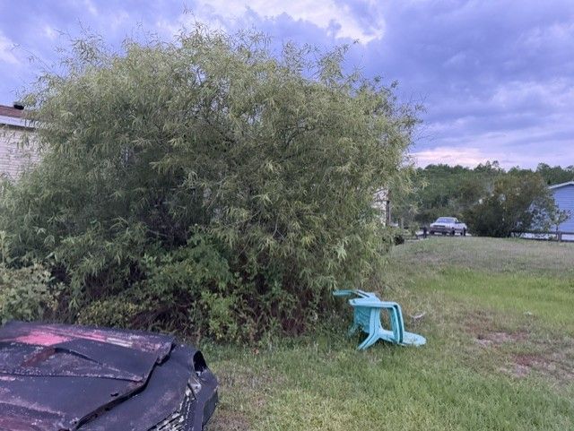 Backyard with dense green bush, blue lawn chair, and a covered vehicle under a cloudy sky.