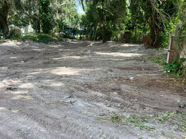 Dirt road through a wooded area with trees and dappled sunlight